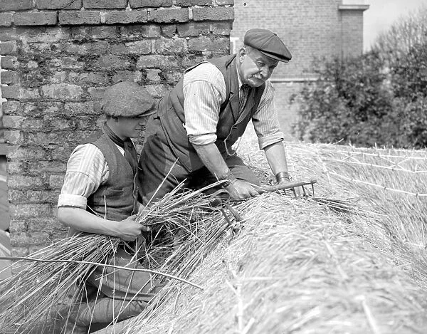 A thatcher at work on Camberwells thatched cottage ( Mr Dent and his assistant operating )