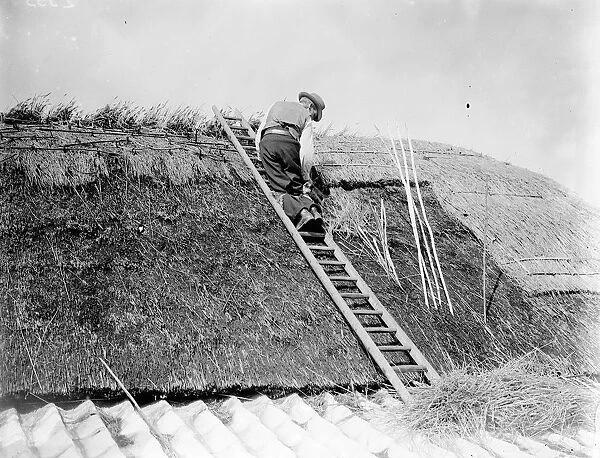 Thatching Perry Street cottages. 1935