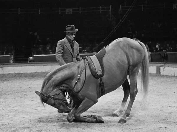 Trainer with his horse rehearsing before a show at the Olympia Circus, London, England