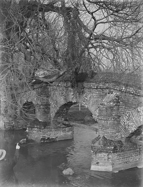 A tree growing from the base of Farningham bridge in Kent. 1939