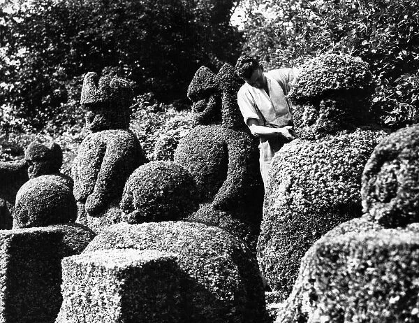 Trimming the topiary chess men in the garden at Hever Castle Near Edenbridge Kent 1962