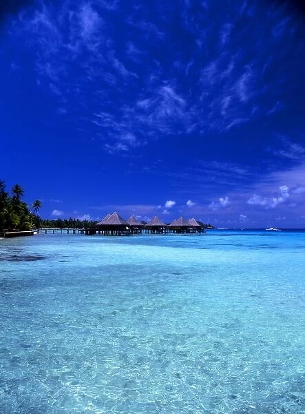 Tropical beauty. Polynesia. Rangiroa