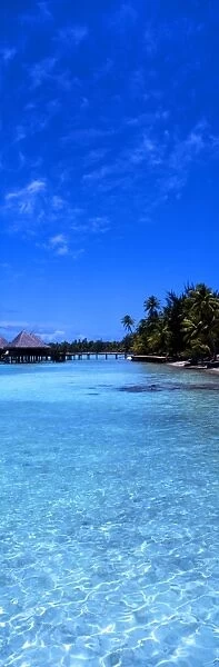 Tropical beauty. Polynesia. Rangiroa. [Panoramic shot]