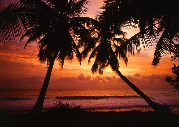 Tropical beauty. Seychelles. Beach on Mahe, at sunset