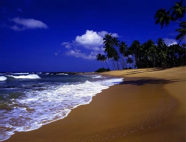 Tropical beauty. Sri Lanka. Beach between Galle and Kuskoda