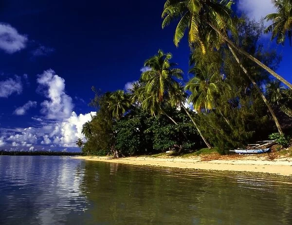 Tropical beauty. Tahiti Group. Morea Island