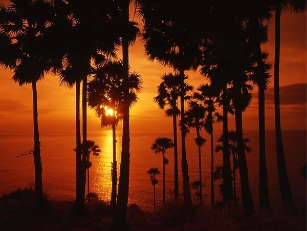 Tropical beauty. Thailand. Phuket. Sunset over the sea