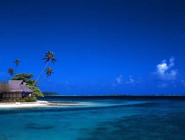 Tropical beauty.Tahiti Group. Morea Island