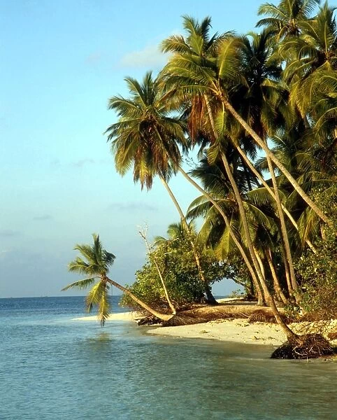TROPICAL ISLANDS Beach at Little Bandos, Maldives, Indian Ocean