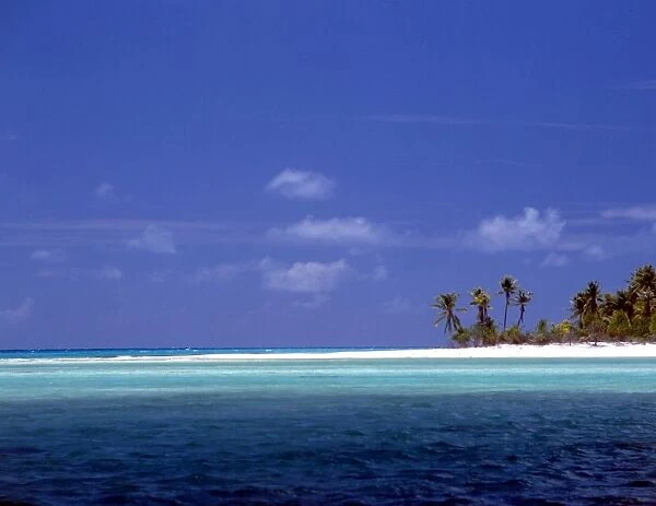 TROPICAL ISLANDS - French Polynesia. Strand of beach with palm trees - group of