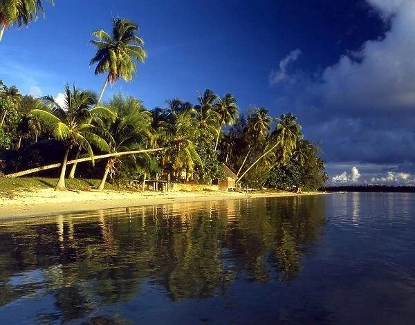 TROPICAL ISLANDS French Polynesia. Beach scene on Morea, off Tahiti