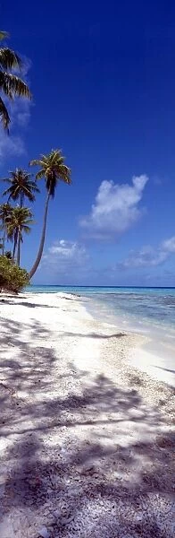 TROPICAL ISLANDS French Polynesia. Beach at Rangiroa