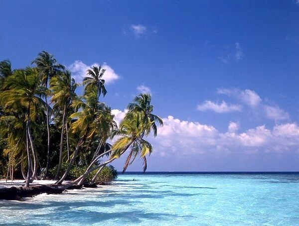 TROPICAL ISLANDS Maldives Beach at Little Bandos, Maldives, Indian Ocean