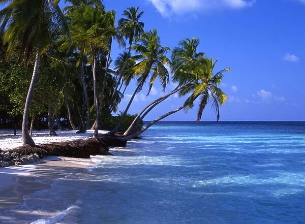 Tropical Islands - Maldives - Little Bandos with No Human Figure