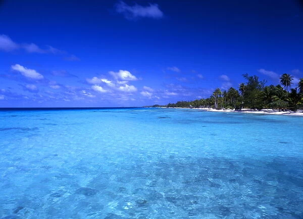 Tropical Islands - Morea Tahiti