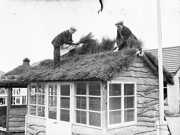 They use heather for thatching in Sussex. An unusual custom prevailing in some
