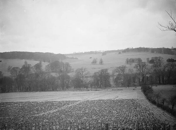 The view of the fields at Preston hill farm estate. 3 February 1938