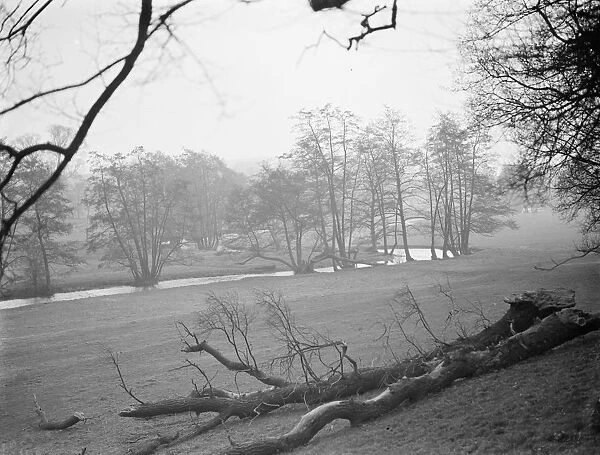A view of Shoreham Park, Kent. 1938