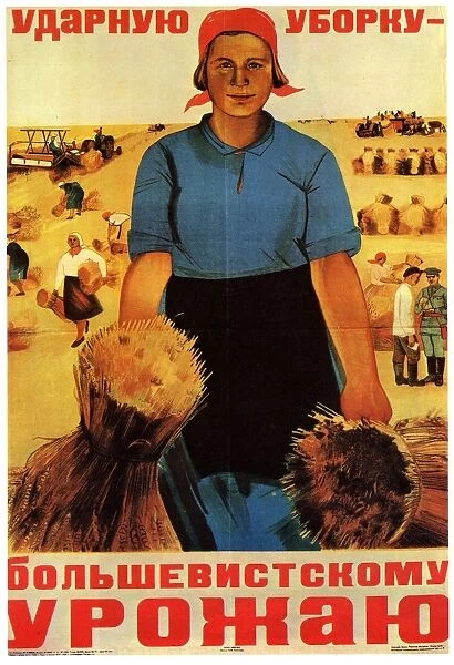 Voron Maria - Give first priority to gathering the Bolshevik harvest! 1934