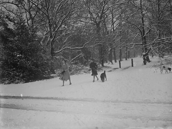 Walkers and their dogs enjoy the snow on Chislehurst Common, Kent. 1936
