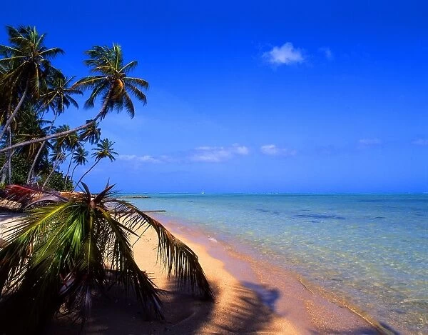 West Indies. Barbados