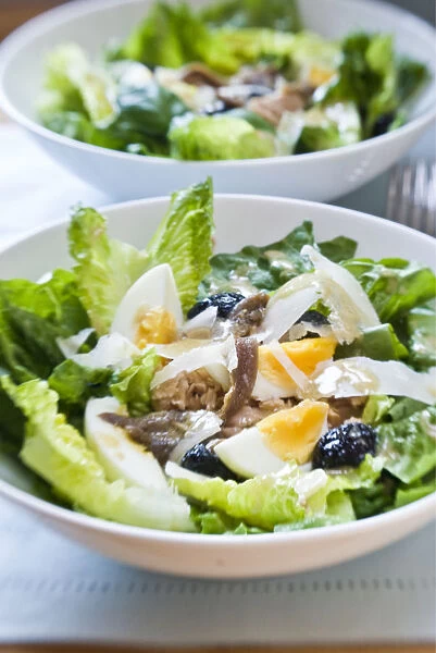 White bowl of classic Salade Nicoise, with vinaigrette credit: Marie-Louise Avery