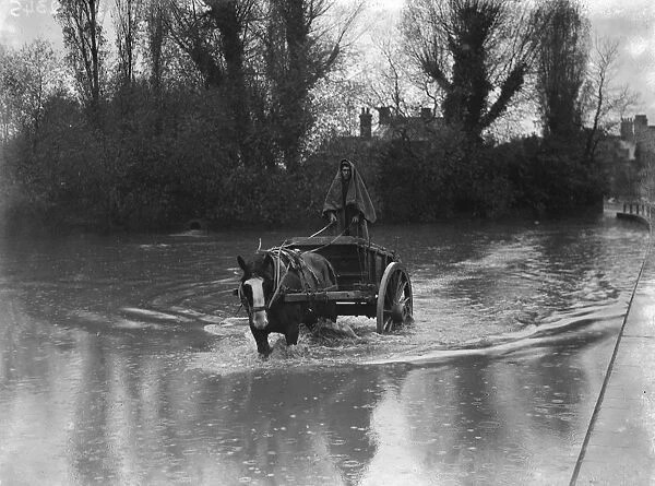 Winters wash at Orpington Pond, the source of the River Cray. A horse and cart
