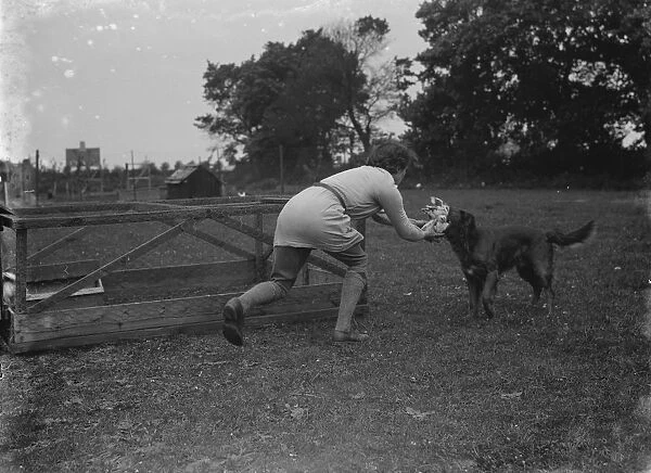 A woman and her dog retrieves chickens. 1935