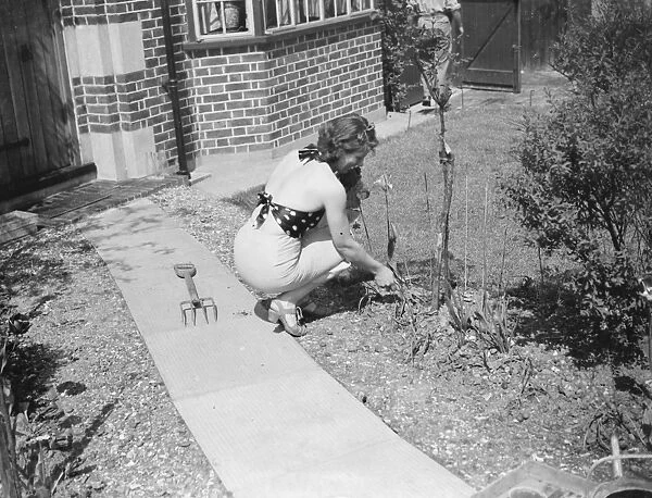 A women in beachwear caching some sun whilst doing the gardening. 1939