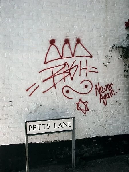 Words and symbols in graffiti: Never Again and Bash, a Star of David and an unidentified symbol