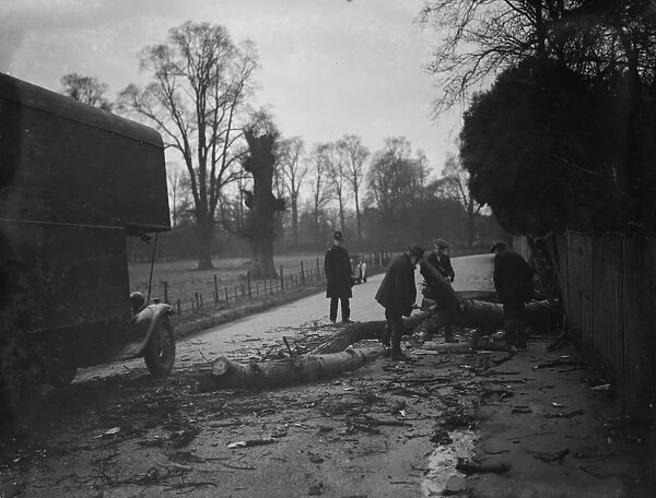 Workers clear a tree blown down by the gales in Crayford. 1938