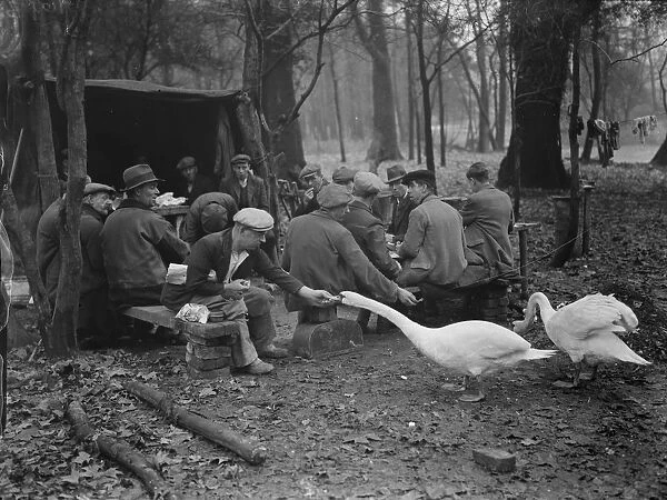 Workmen on their tea break feeding the swans during the reconstruction of the gardens