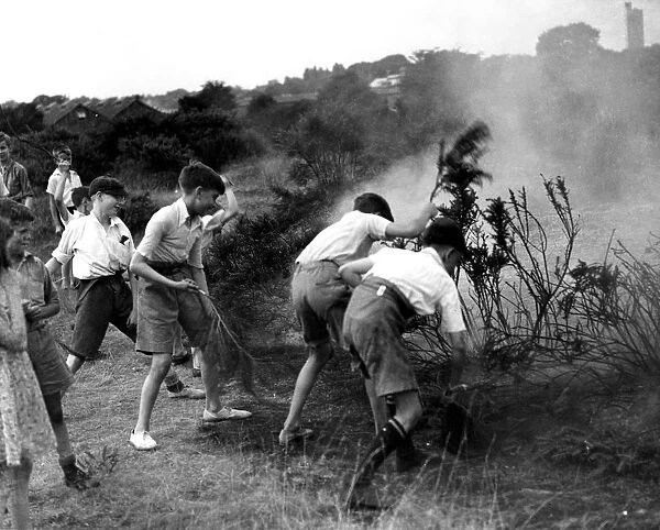 Youngsters helping to quell a gorse fire on Dartford Heath, Kent. 1937