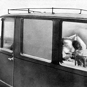 9 February 1929 King George V inside a motor ambulance on his way from Buckingham