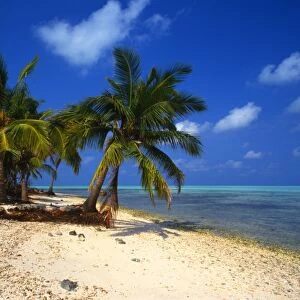 One of the atol islands of the Lakshadweep Islands [Indian Ocean], near Bangaram