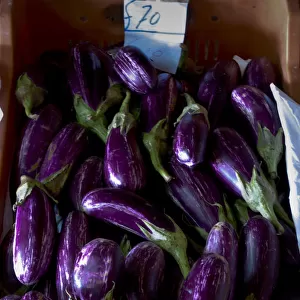 Aubergines on sale in roadside farm stall, southern Cyprus. credit: Marie-Louise