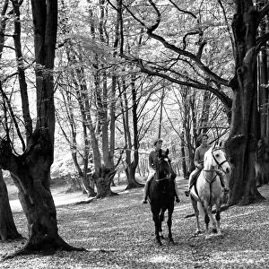 Autumn in Kent two riders pause to admire the huge carpet of leaves lying on the