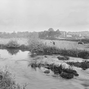 Axminster, Devon 1925