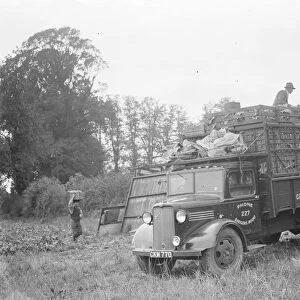A bedford lorry belonging to R Foreman a grower located in Chelsfield, Kent