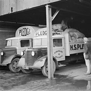Bedford trucks belonging to Pledge & Son Ltd, the milling company, are being loaded