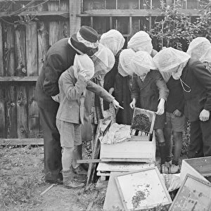 A beekeeping class is an innovation at Wood Lane, Shepherds Bush, London open-air school