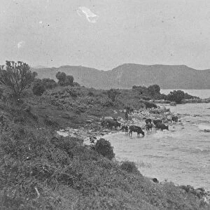 Belgian Congo Rwanda, The banks of Lake Kivu August 1921