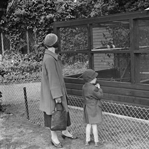 A bird aviary at Danson Park in Bexley, London. 1938