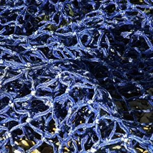 Detail of blue fishing net in the sunshine credit: Marie-Louise Avery / thePictureKitchen