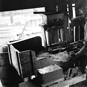 Brick making at the Hollingbourne brick works. 1935