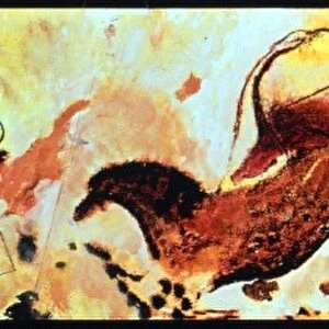 CAVE PAINTINGS Reconstruction of the prehistoric paintings of animals of one of the