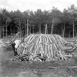 Charcoal burning for the trenches in the New Forest