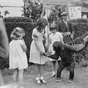 Children at the Dartford Carnival shake hands with a chimpanzee. 1937