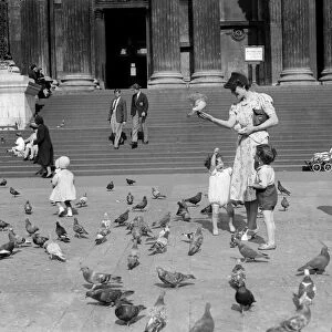 Children feeding the pigeons by the steps of St Pauls Cathedral, Saint Pauls Church Yard