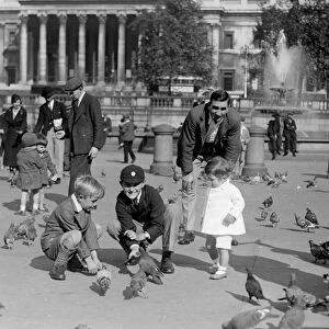 Children feeding the pigeons in Trafalgar Square with the columns of the National